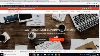 how to demo import business angency themes
