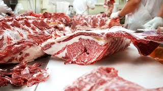 HOW TO BUTCHER A COW OF KOREAN BEFF / How to debone beef from an expert / Educational study