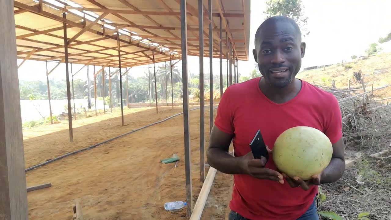 Comment SANS DIPLÔME gagner plus d'argent plus qu'un architecte et un ingénieur en génie civil