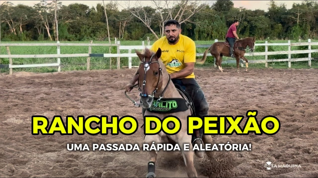 RANCHO DO PEIXAO - CONHECENDO A CASA DO PEIXE DA LAMA - BÁSICO  