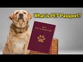 What is PET Passport? | पेट पासपोर्ट क्या होता है? | पेट पासपोर्ट कैसा होता है? | Dhana Aswin