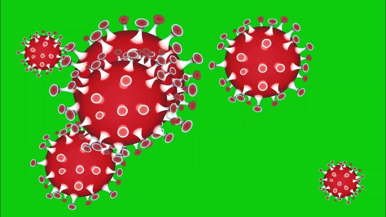 Coronavirus Animation Green Screen Covid 19 Animation Green Screen