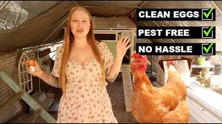 Our Chicken Nesting Box Must Have