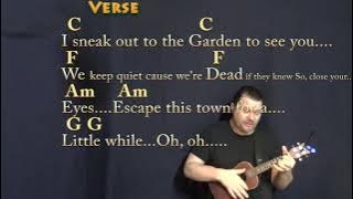 Love Story (Taylor Swift) Ukulele Cover Lesson in C & D with Chords/Lyrics