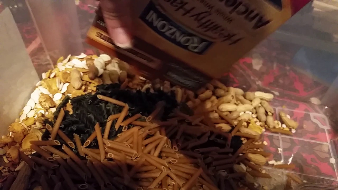 Rat Supplement Mix YouTube