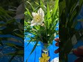 Wildflower Vase: 1: March