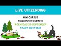 Mini Cursus Hondenfotografie met je Smartphone LIVE uitzending