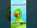 🎵🐦 Main Tota Song: लाल चोंच और हरे पंख #shorts #balgeet #kidssong #tumtumkidstv