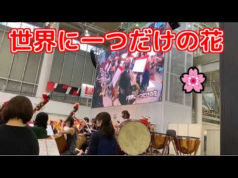 🌸世界に一つだけの花🌸【MEGA WEB 丸の内交響楽団クリスマスコンサート2021】オーケストラ生演奏 2021/12/25
