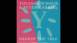 Shakin' The Tree - Youssou N'Dour and Peter Gabriel   (1990)  Remix