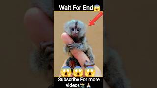 Facts shorts😱 l explanation l#ff #viral #storytelling #shorts #youtubeshorts #shortvideo #shortsfeed