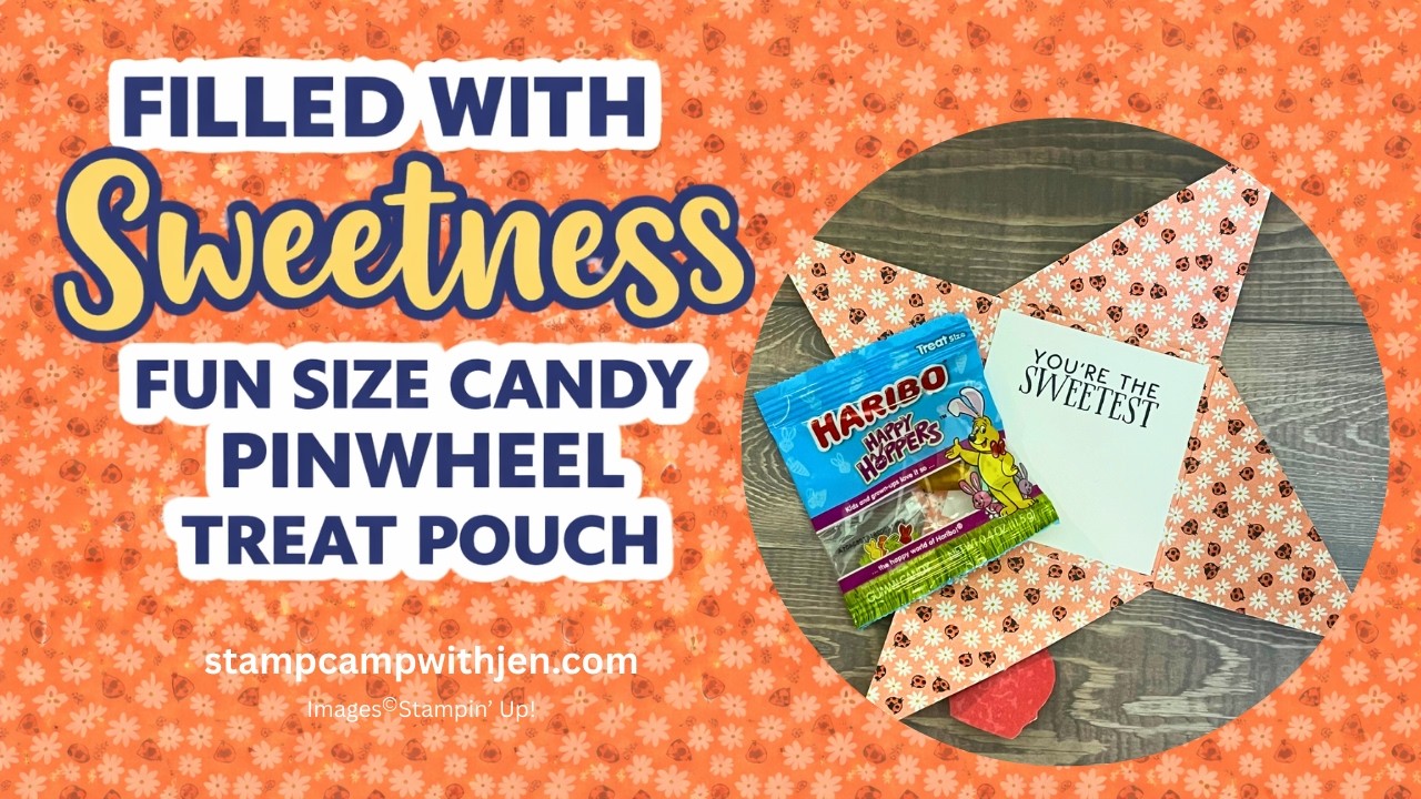 Filled With Sweetness Fun Size Candy Pinwheel Treat Pouch