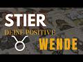 Stier: Du wirst getestet &amp; gehst als Sieger raus | Tarot Kartenlegen