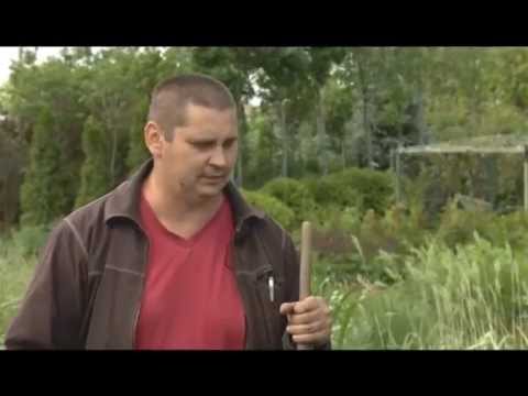 методы избавления паразитов в организме методы избавления паразитов в организме