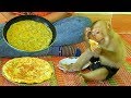 Mom Cooking Stir Fried Eggs With Cucumber For Baby Kako Has Lunch | Monkey Eat Stir Fried Eggs