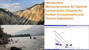 Introductory Microeconomics 40: Optimal Choices for Perfect Complements and Perfect Substitutes