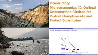 Introductory Microeconomics 40: Optimal Choices for Perfect Complements and Perfect Substitutes