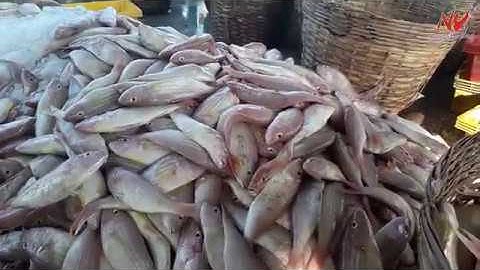 Cảng cá Tắc Cậu, huyện Châu Thành, tỉnh Kiên Giang   Tac Cau fishing port, Chau Thanh district, stil