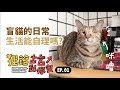 【盲貓的日常生活能自理嗎？】狸銘出宮到你家EP.1 志銘與狸貓