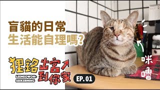 【盲貓的日常生活能自理嗎】狸銘出宮到你家EP.1 志銘與狸貓