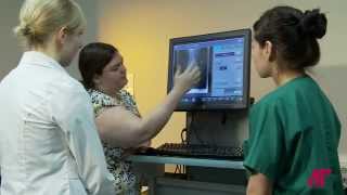 APSU Allied Health
