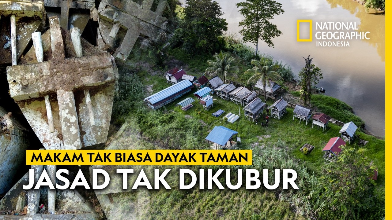 KULAMBU : TRADISI TAK BIASA PEMAKAMAN JENAZAH SUKU DAYAK TAMAN - NATIONAL GEOGRAPHIC INDONESIA