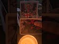 #tarotcardreading #feelings #tarotreading #reading #hindi #tarotlover #judgement #viral#videos