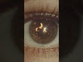 Effigy, featured on CCR's 4/20 Jams compilation