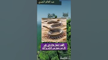 #قرآن #سورة_البقرة #لايك #duet #اكسبلور #funny