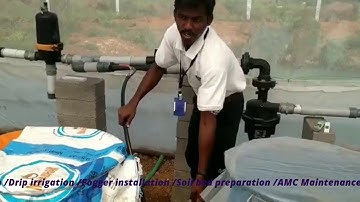 Drip and fogger installation | Polyhouse farming | India Green Organics #dripirrigation