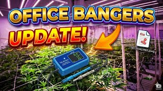 OFFICE BANGERS UPDATE #6 (EDUCATIONAL DOCUMENTARY)