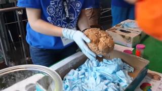 Human brain at UofR