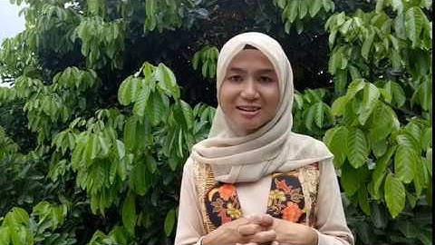 Google Local Guide Connect Live 2019 Application Video