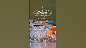 #بسم_الله_الرحمن_الرحيم #آيات #قرآن #ترند #اكسبلور #دويتو #راحة_نفسية