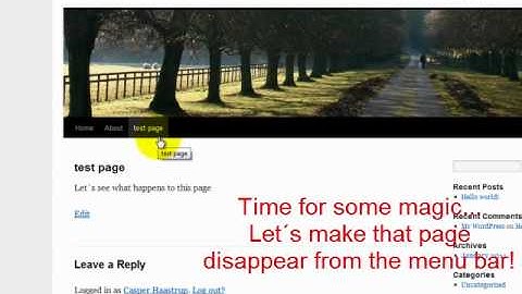 Wordpress "Exclude Pages" plugin - how to.mov
