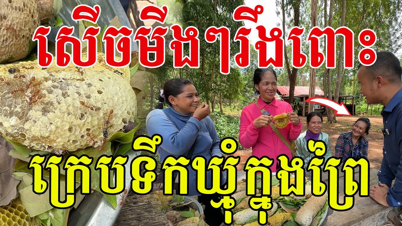 កំប្លែងណាស់មីងៗ ស្ងាត់ៗក្រេបទឹកឃ្មុំកណ្ដាលព្រៃ