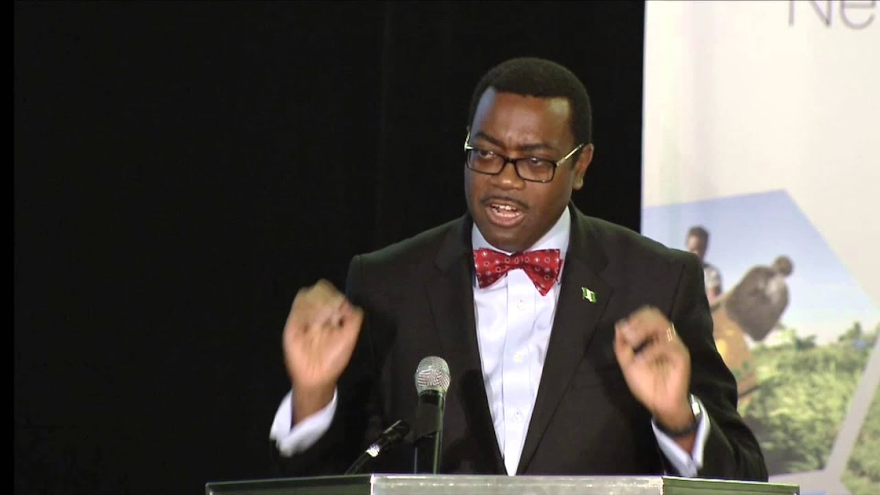Mr Akinwumi Adesina, Minister of Agriculture and Rural Development of Nigeria