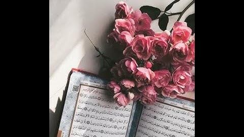 سورة يوسف تلاوة خاشعة تلين القلوب