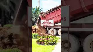 unloading palm oil cargo #shorts
