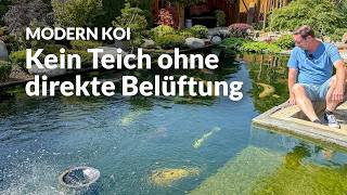 Timos 33.000l Koiteich | Modern Koi Blog #8191
