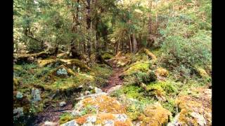 Libitum - Senderos nuevos