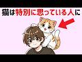 猫好き必見【猫の豆知識30選】ネコの不思議な行動・仕草の秘密 #雑学 #豆知識 #猫