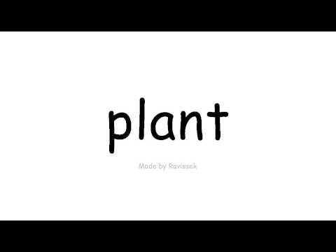 Video: Universal Bitki - İngilis Dili