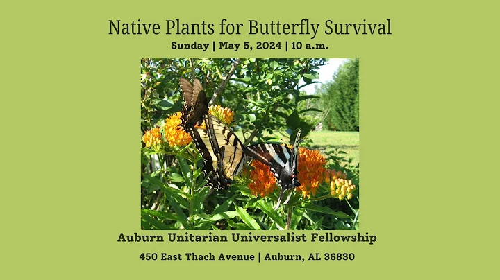 05-05-24 | Native Plants for Butterfly Survival | Jan Newton - DayDayNews