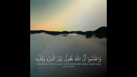 آيات تخشع لها القلوب❤