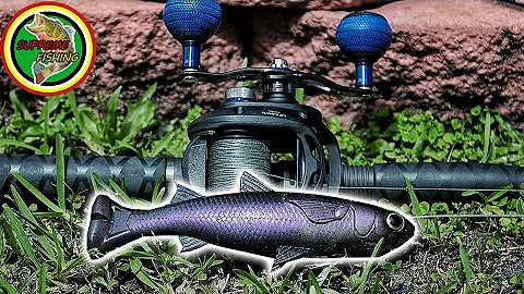 BIG Swimbait Fishing For Big Snook (Savage Gear Pulsetail Mullet)