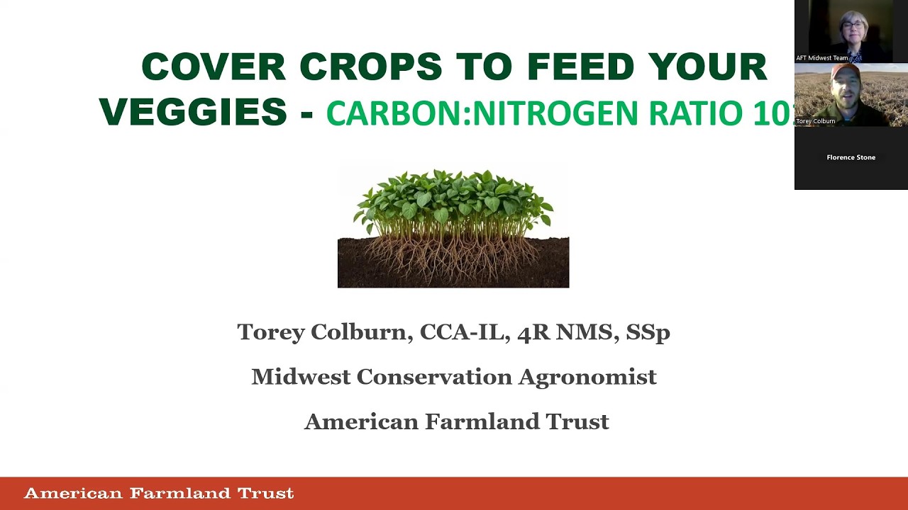 Cover Crops to Feed Your Crops - Carbon-to-Nitrogen Ratio 101