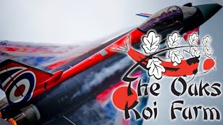 'A Visit To The Oaks Koi Farm, RAF Typhoon At Southport Air Show And Mug Giveaway Draw' by Scott Henderson Koi & Hawks 721 views 8 months ago 18 minutes