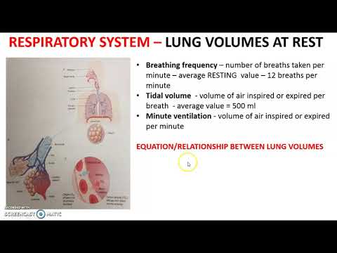 Mechanics of breathing