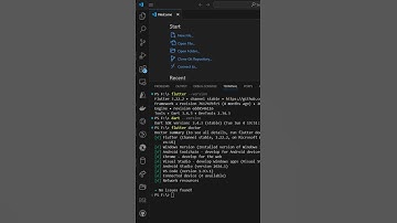 Check Flutter and Dart Versions Installed on Windows
